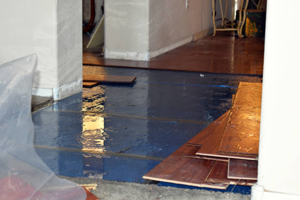 Professional Sewage Cleanup technician working in Mims, FL